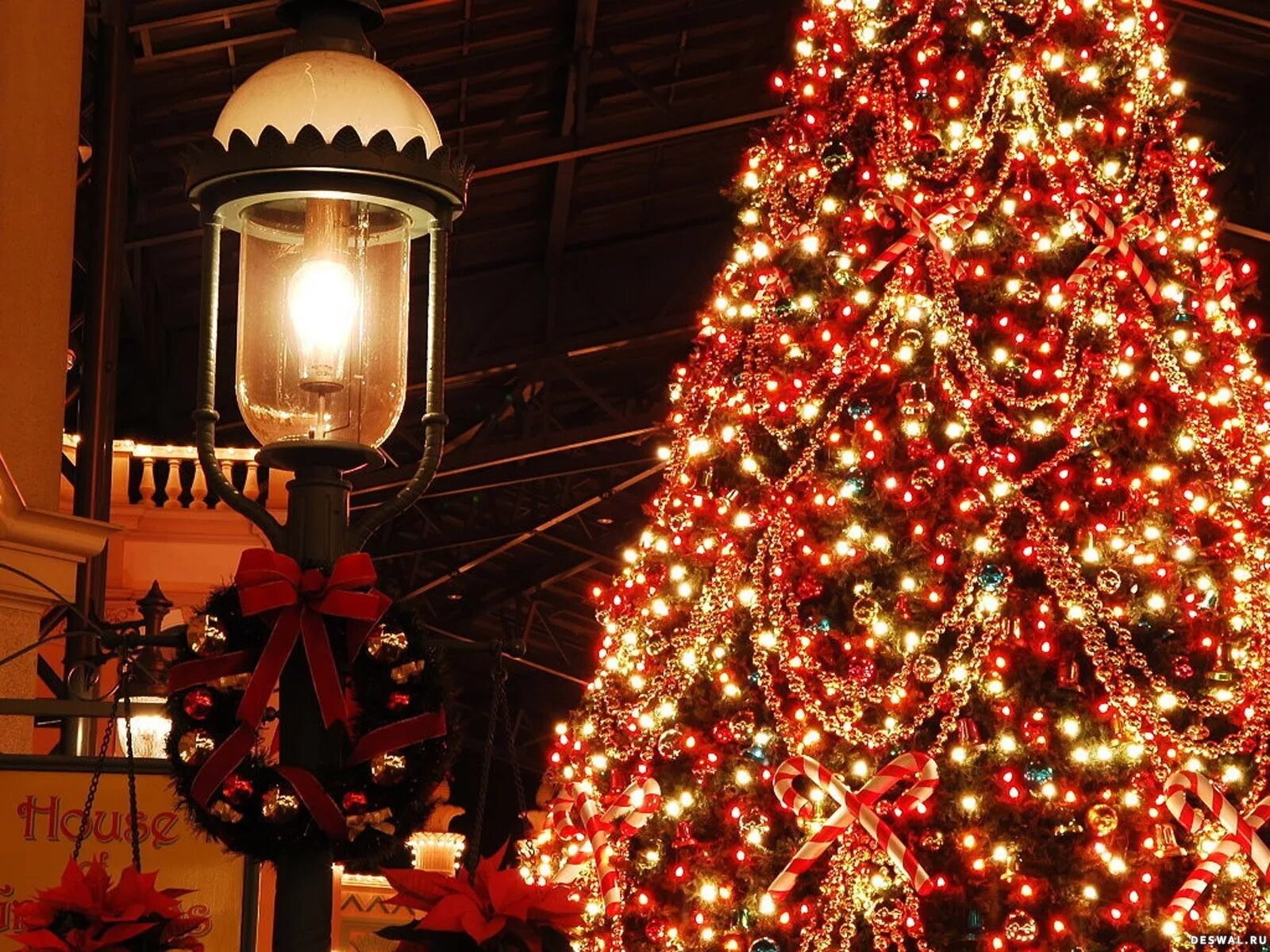 Новогодние фотки эстетика. Рождественская елка. Елка с красной гирляндой. Новогодняя елка с огоньками. Новогодний фонарик на елку.