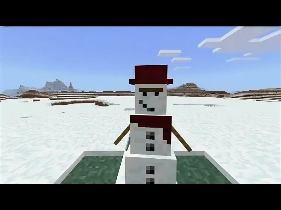 Type minecraft snowball run