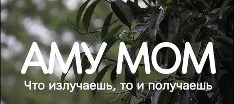 Мудрая книга мом
