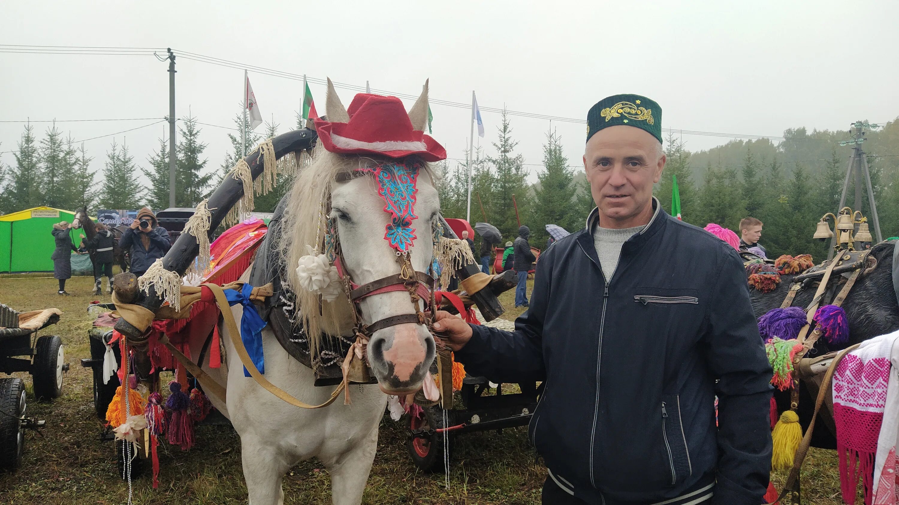 Лошадь Минниханова. Минниханов посетил ярмарку Арского района. Минниханов на празднике. Мордовская свадьба. Праздник коня 2024