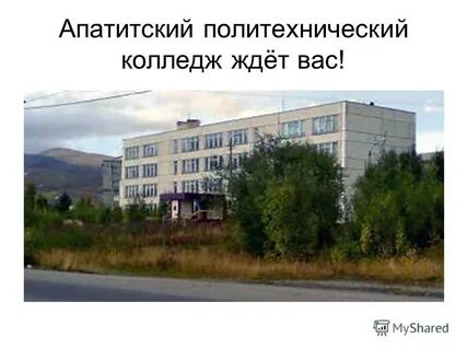 Апатитский политехнический колледж