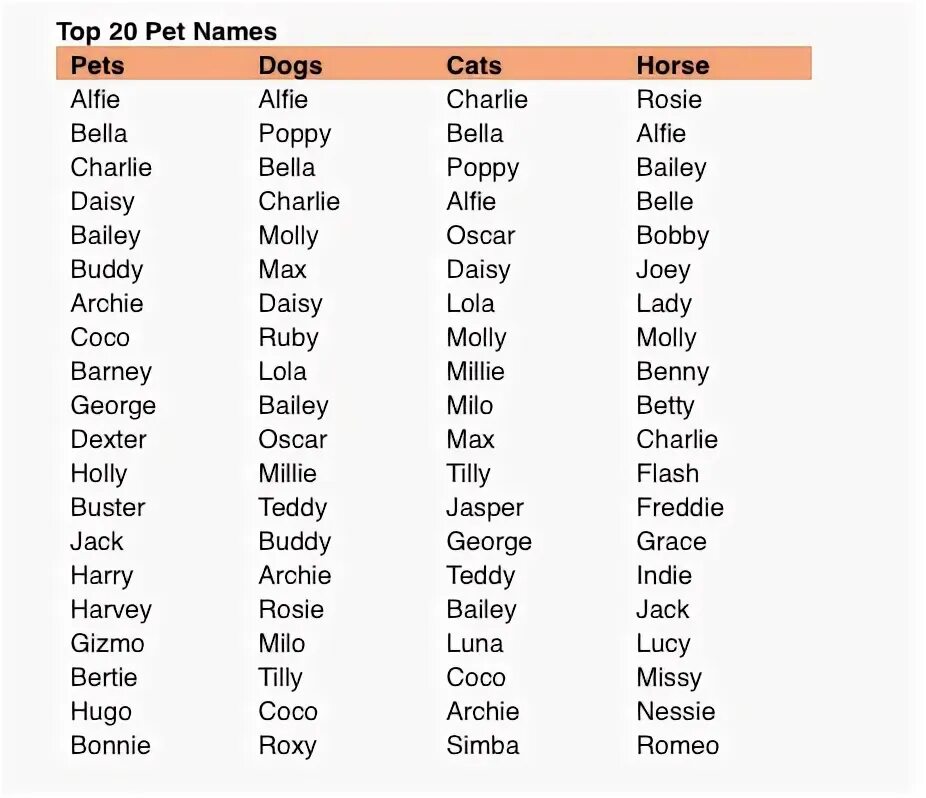 Funny pet names. Имена для кошек. Красивые имена для котов мальчиков. Английские имена для котов. Кошачьи имена русские.