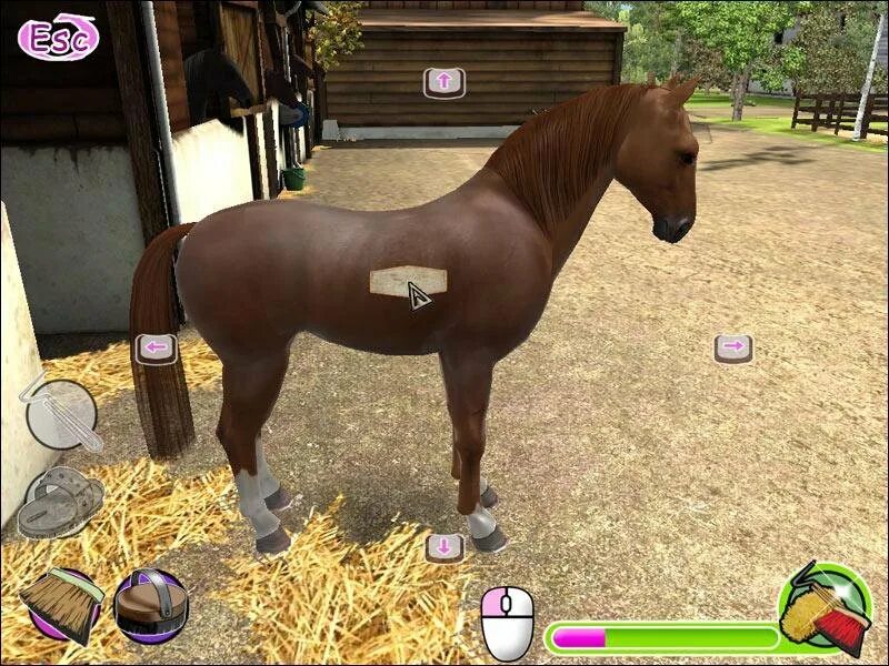 Игра my horse. Игры про лошадей. Лошадь моей мечты. Игра лошадь моей мечты. Компьютерная игра про лошадей Старая.