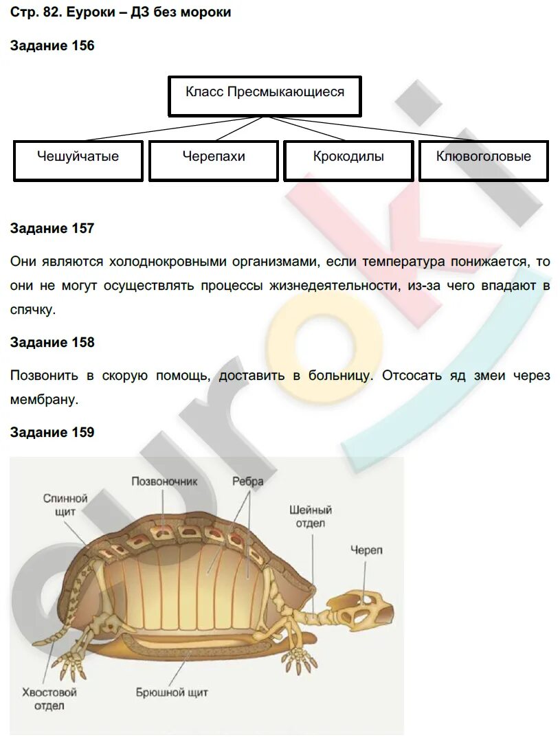 Биология 7 вопросы