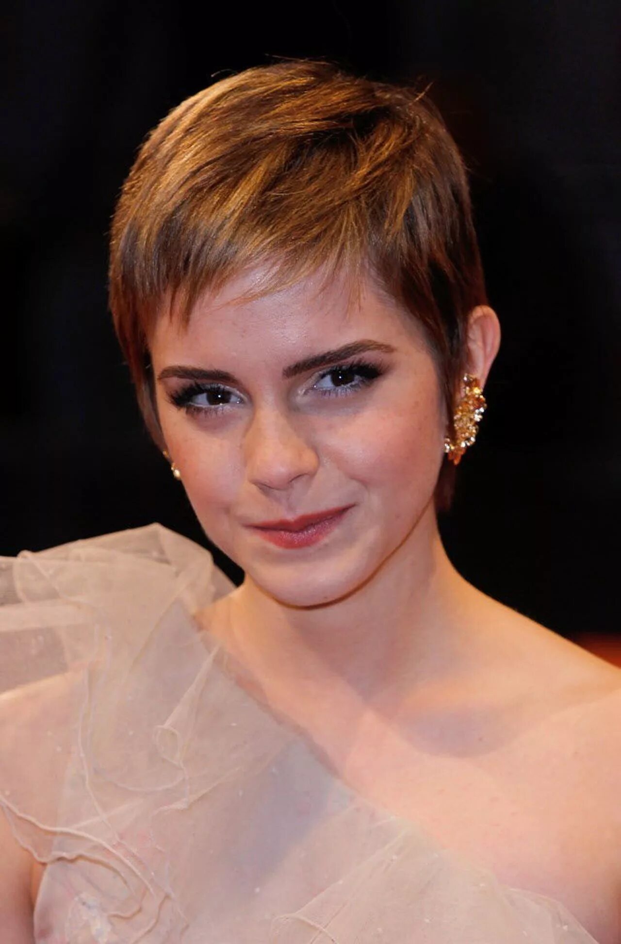 подстричь волосы под мальчика. короткая стрижка под мальчика. гарсон стрижка агнесс дейн. красивые короткие стрижки для девушек. руни мара с короткой стрижкой.