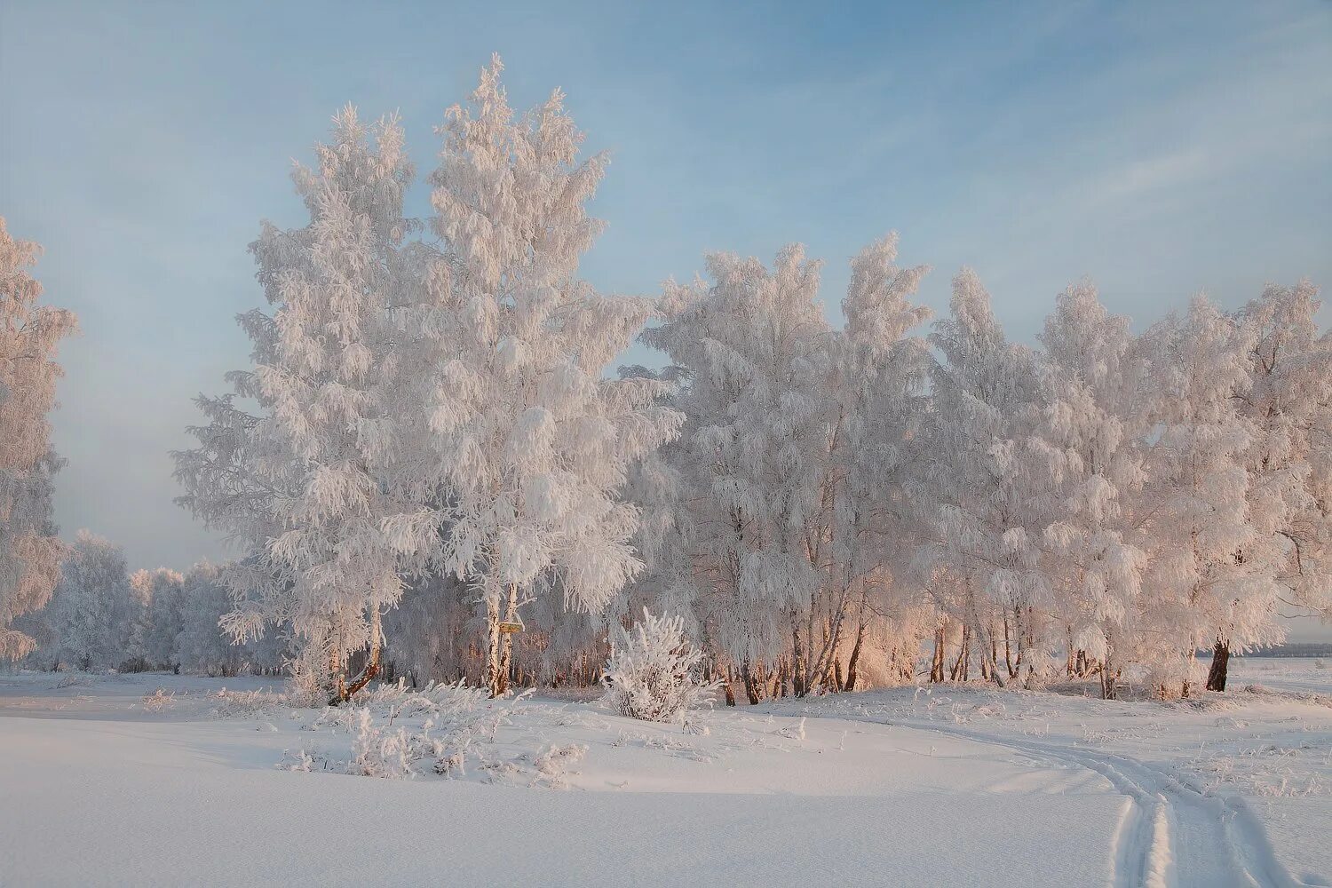 Россия зимой. Январский пейзаж. Январь природа. Зима январь. Полный месяц январь