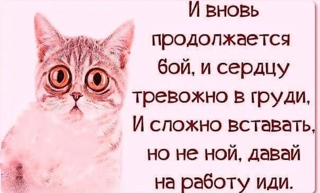Доброе утро вставай на работу. Пора вставать на работу. Просыпайся пора на работу. Доброе утро работа приколы. Доброе утро идем на работу.