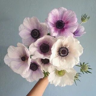 These flowers
