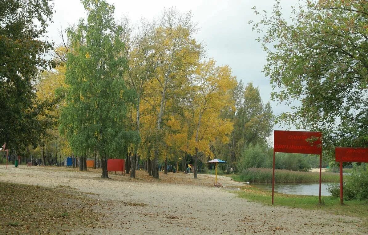 Светлоярский парк нижний новгород. Светлоярский парк Нижний. Парк Светлоярское озеро Нижний Новгород. Светлоярский парк Сормово. Светлоярском парке Нижний Новгород.