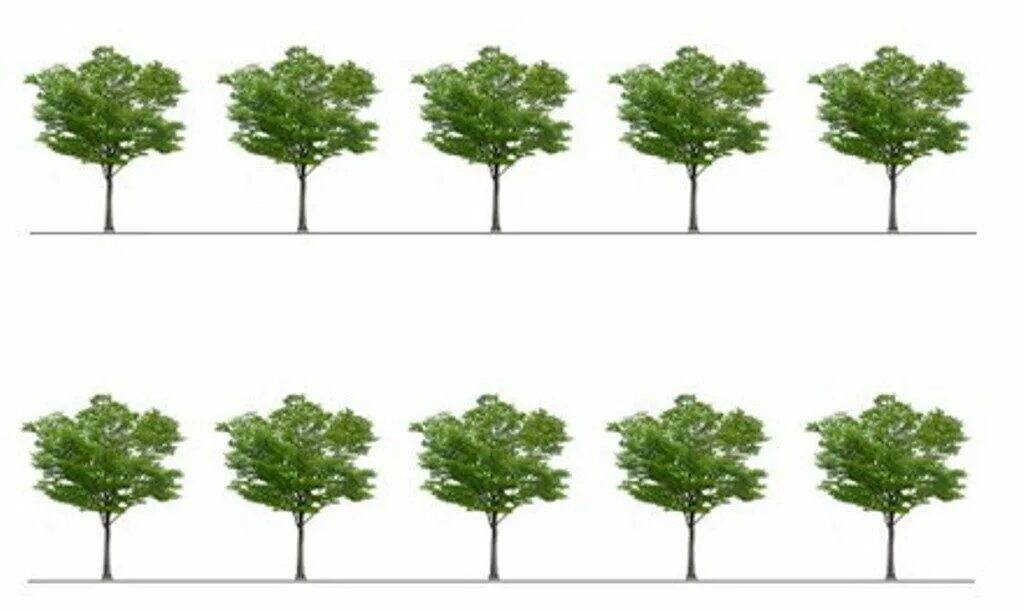 Много деревьев. 10 Деревьев. Несколько деревьев. Деревья в ряд.