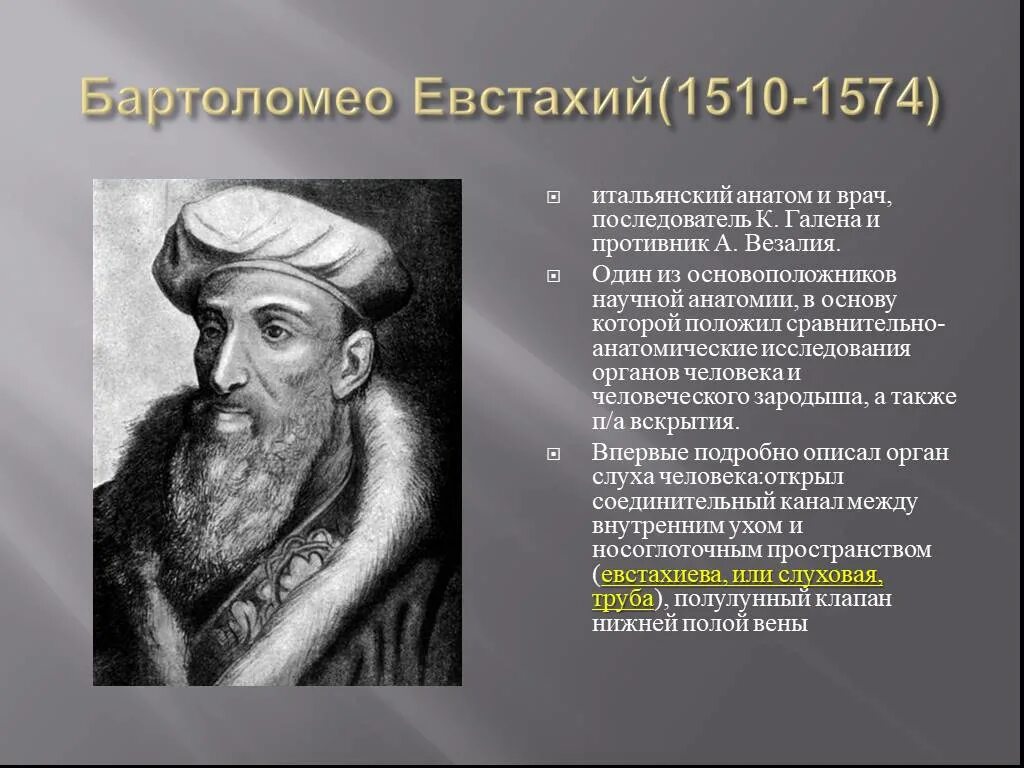 Основоположник современной научной анатомии. Бартоломео Евстахий. Евстахий(1510—1574). Бартоломео Евстахий открытия. Бартоломео Евстахий описал отделы.