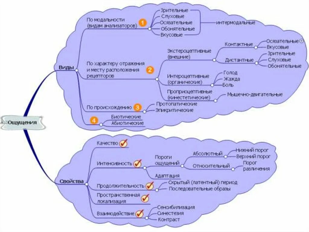 Что такое ментальная сфера. Интеллект карта психологические процессы. Ментальная карта Познавательные процессы. Интеллектуальная карта ощущение и восприятие. Ментальная карта психические процессы.