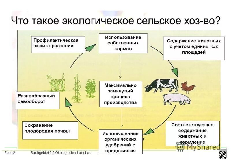 Биологические процессы растений и животных. Экологизация сельского хозяйства. влияние животноводства на окружающую среду. основные экологические проблемы сельского хозяйства. экологические процессы.