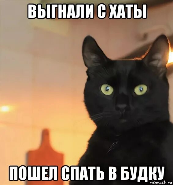 Да выгнала я его. Выгнали из дома прикол. Выгнала мужа. Да выгнала я его. Прогнали из дома.