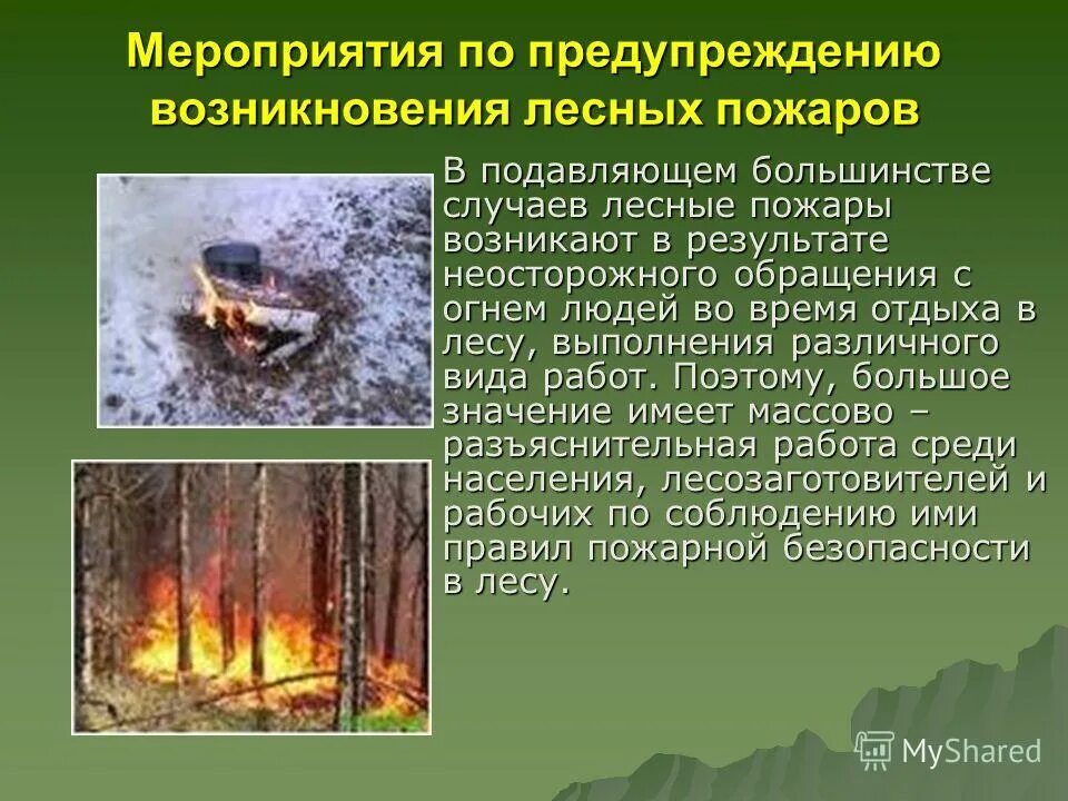 низовой лесной пожар. слабый низовой пожар высота пламени. способы тушения пожаров лесны. в случае лесных пожаров какие. чс лесные пожары.