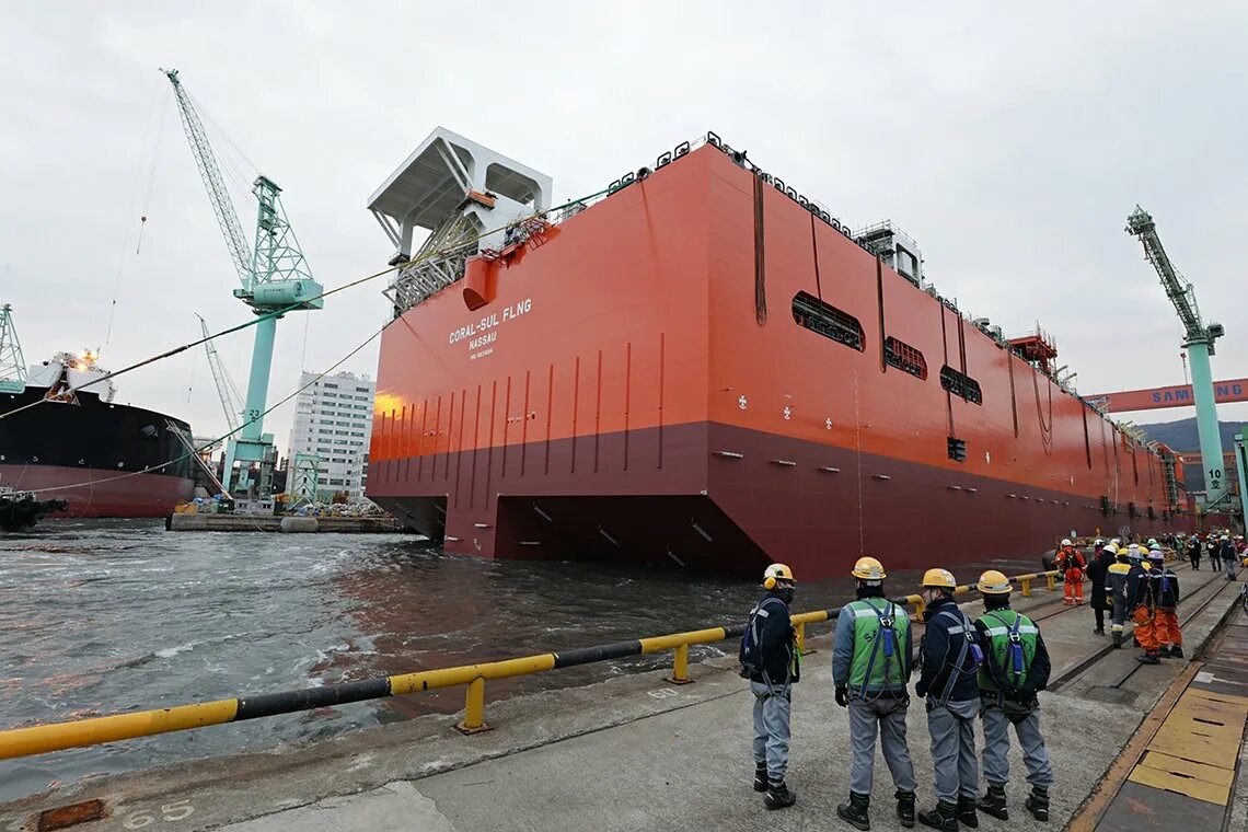 Coral sul flng. Coral south. Coral sul flng. Flng мозамбика. Coral south.
