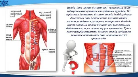 Жұқа ерінге макияжды қалай қолдануға болады (бейне)