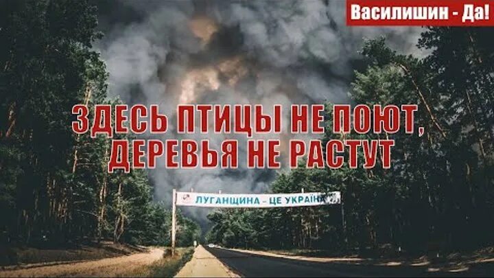 Здесь птицы не поют деревья не растут. Здесь птицы поют. Там птицы не поют деревья не. Здесь птицы не поют здесь деревья не растут текст.