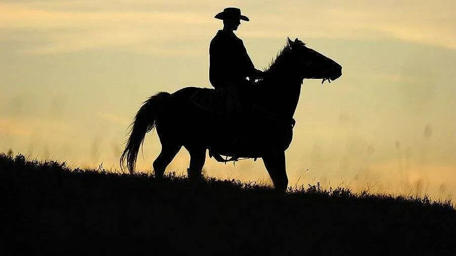 брат на коне. злые карачаевские лошади. арты с лошадьми и всадниками. мальчик на лошади. брат на коне.