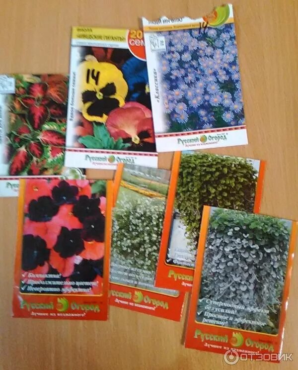 тыква зимняя сладкая 2г (гш). тыква голосемянная кустовая. семена русский огород отзывы. брюква красносельская. семена русский огород отзывы.