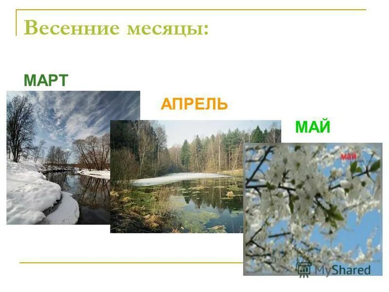 Апрель какой месяц весны. Весенний месяц апрель. Март апрель май весенние месяцы. Весенние месяцы для детей. Назови весенние месяцы.