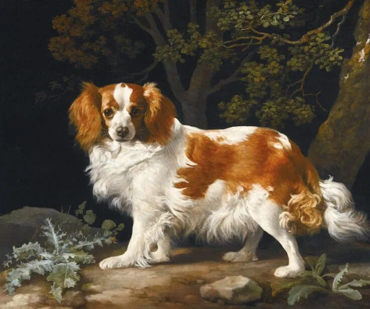 Конрадин кунеус (conradijn cunaeus; 1828-1895). Борзая гончая средневек. Собака 18 век. Собака 18 век. Рисунок собаки которая голодает.