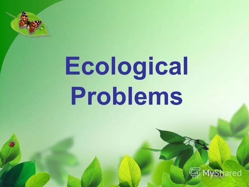 Ecology ecological