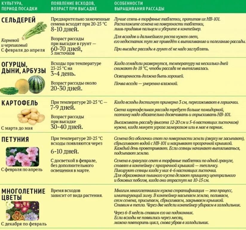 Календарь посадки овощей на 2024 год. Календарь семян на рассаду. Календарь рассадки рассады. Посевной календарь на рассаду. Календарь. Посадки. На. Рассаду овощи ,цветы.