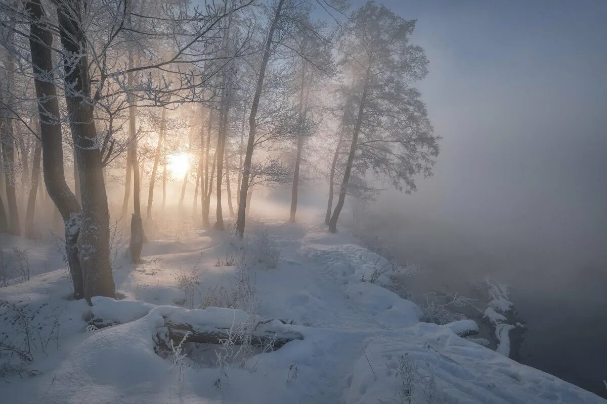 Зимнее утро. Морозный пейзаж. Зимний лес утром. Зимний утренний пейзаж. Снежное утро.