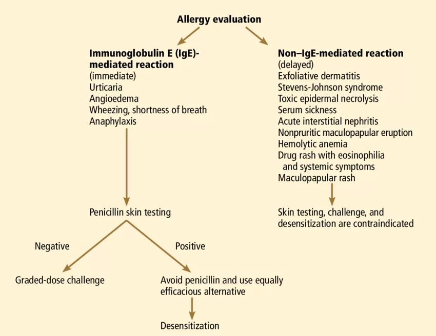 Idle allergy. Drug Allergy classification.