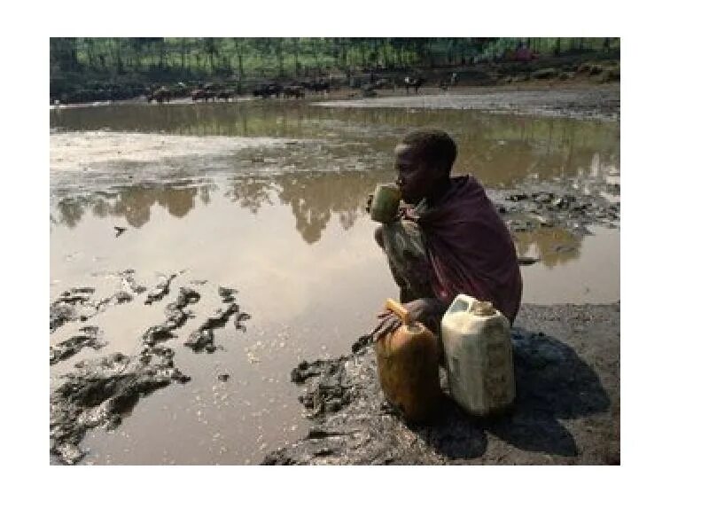 Идти в грязной воде. Грязная вода. Питье грязной воды. Загрязнение питьевой воды.