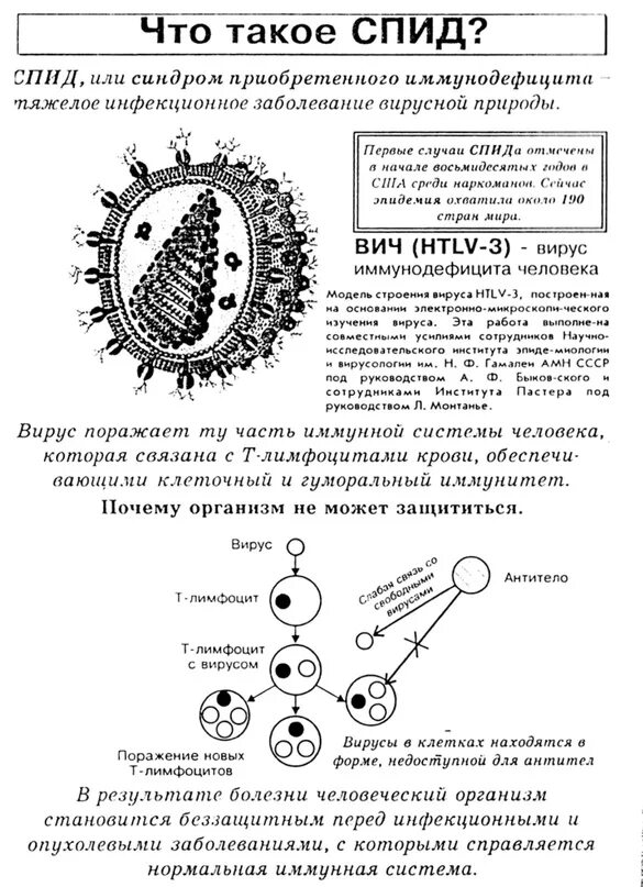 Строение вируса ВИЧ И СПИД. Строение ВИЧ вируса схема. Жизненный цикл вируса ВИЧ по биологии 10. Схема вируса иммунодефицита человека. Лабораторная работа по биологии спид и гепатит