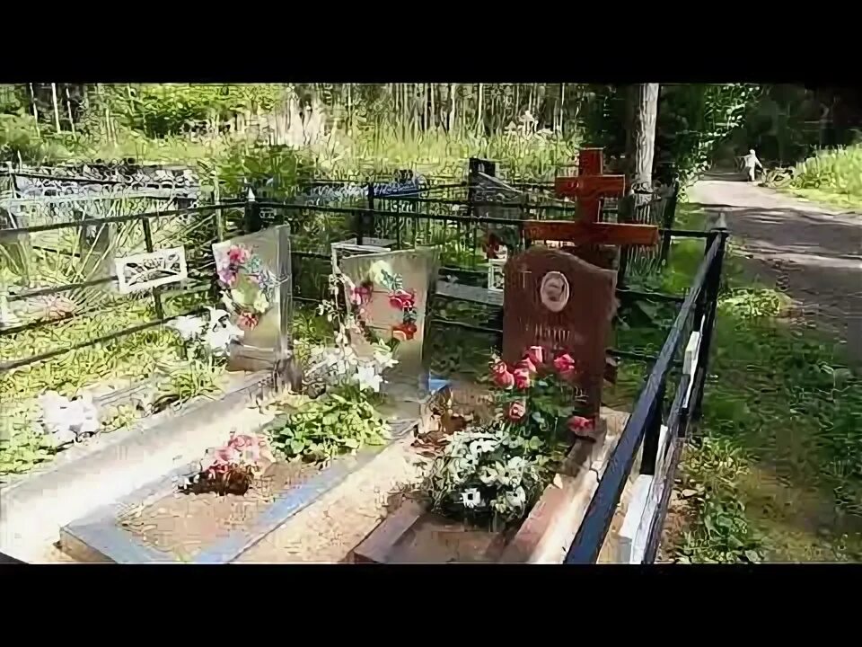 Церковь святителя алексия середниково. Солнечногорское кладбище новое. Кладбище в солнечногорске. Солнечногорск середняковское кладбище. Кладбище в солнечногорске.