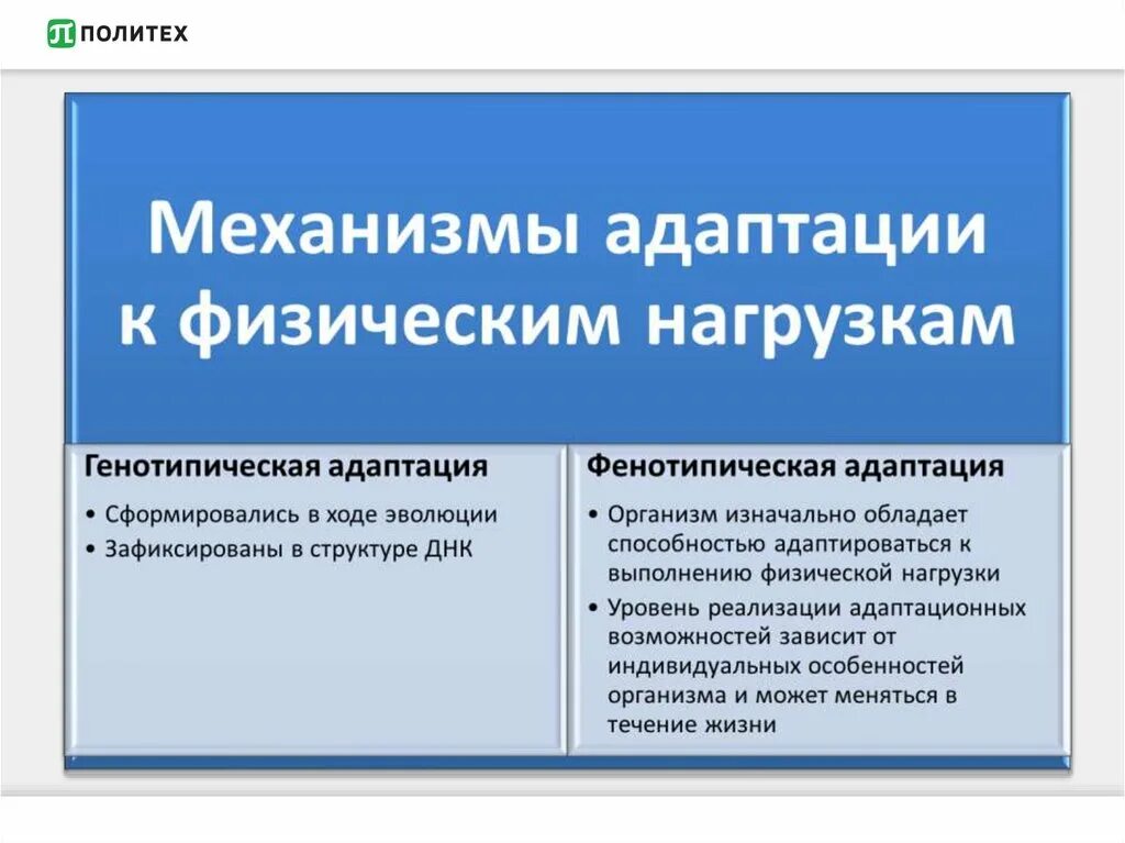 Адаптация к физическим нагрузкам. Механизмы адаптации организма человека к физическим нагрузкам.. Виды адаптации к нагрузкам. Адаптация к физическим нагрузкам виды адаптации.