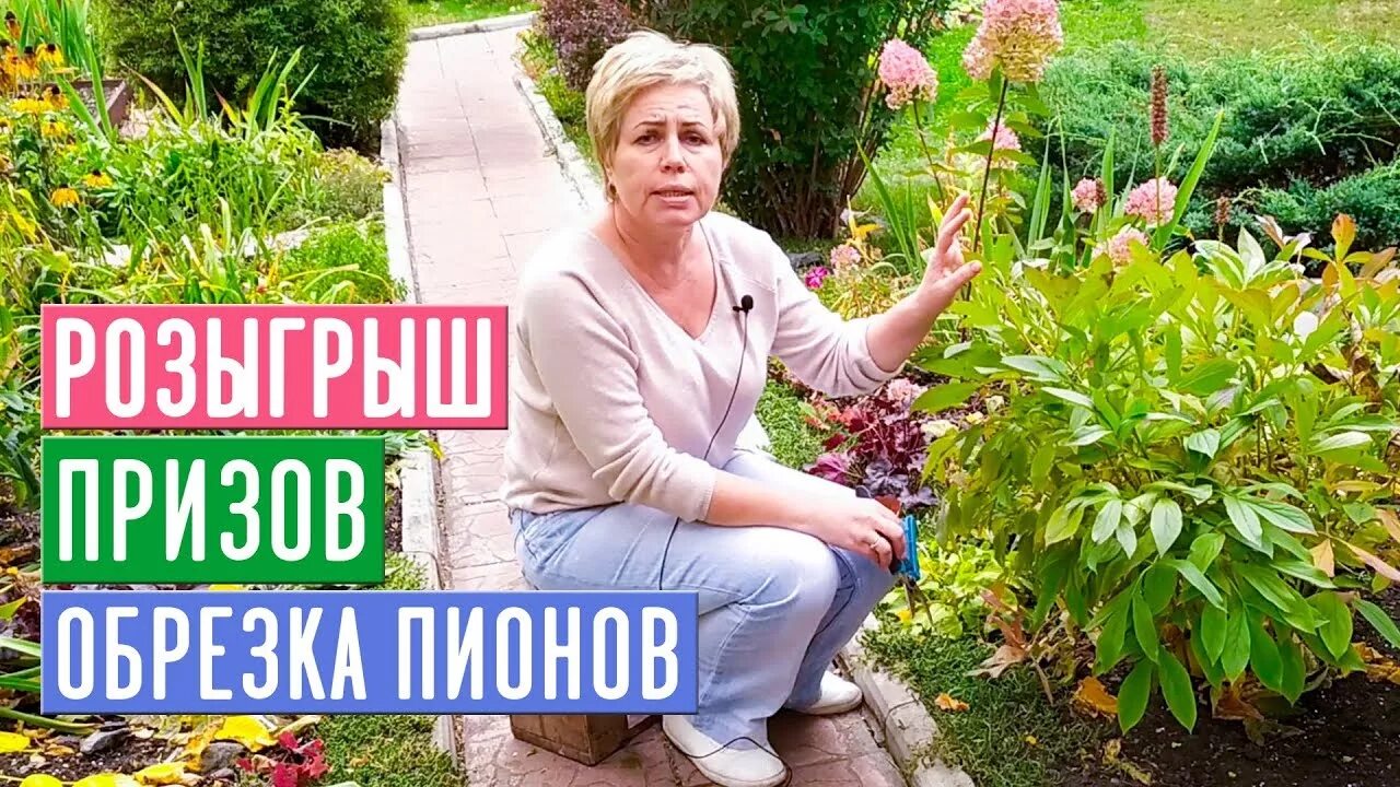 Садовый гид розы. Садовый гид с Ларисой Зарубиной.