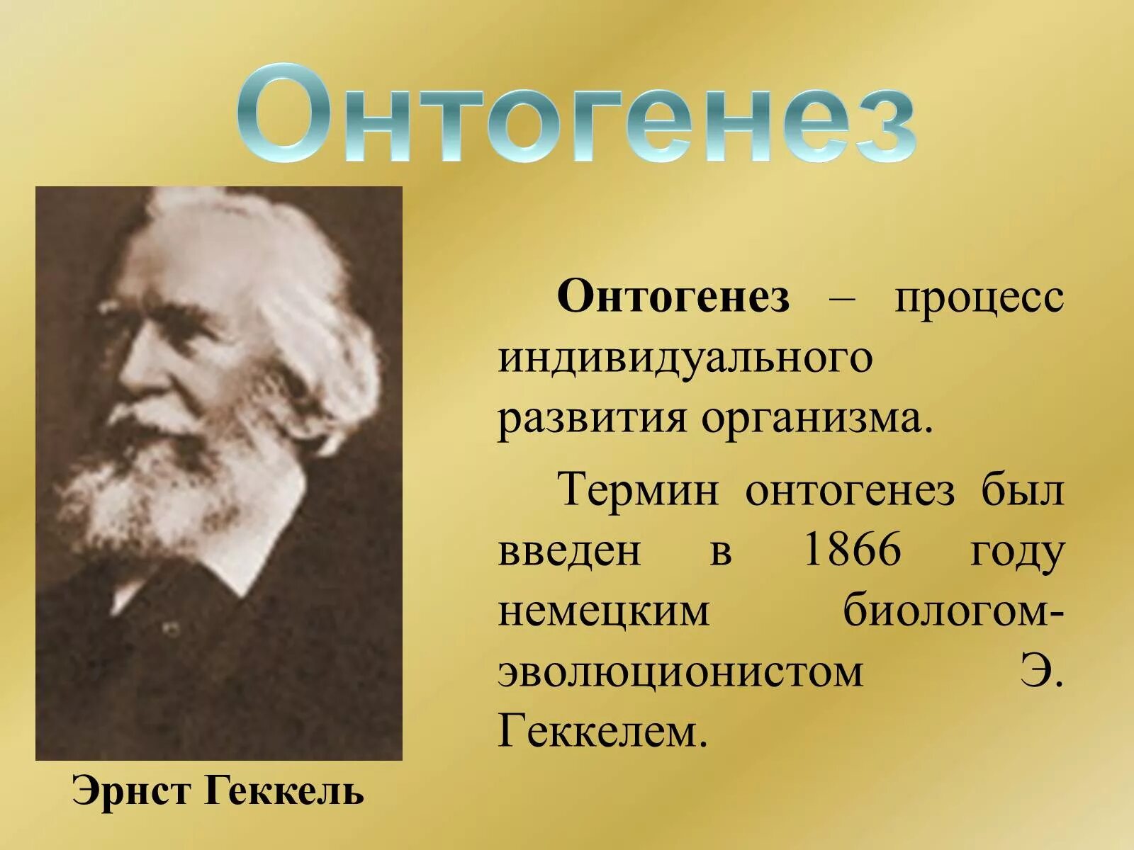 Онтогенез личности. Эрнст Геккель онтогенез. Онтогенез. Индивидуальное развитие организма. Онтогенез человека.