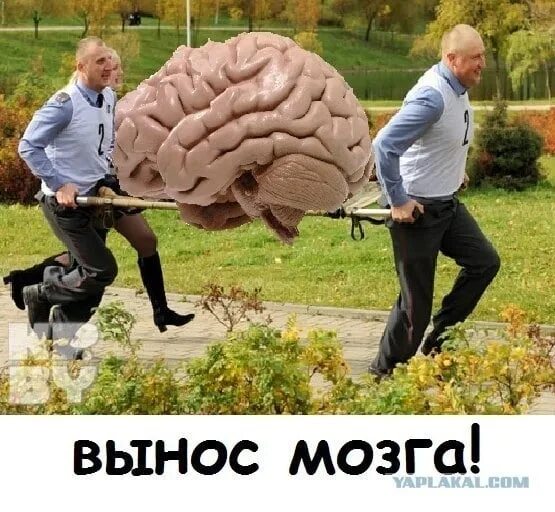 Вынести мозг. Вынос мозга. Вынос мозга юмор. Мозг юмор. Вынес фото