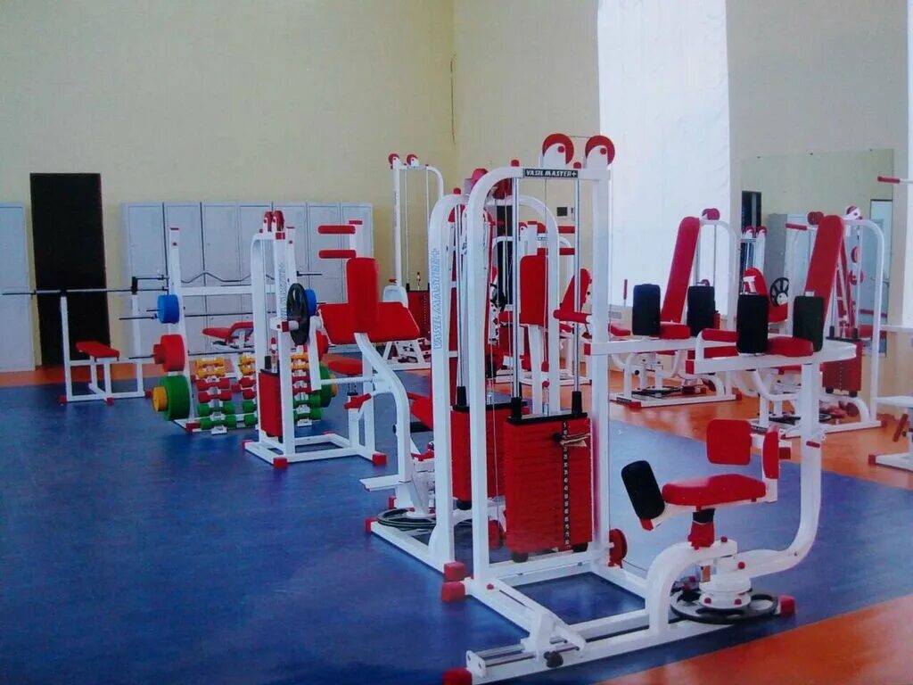 Vasil gym