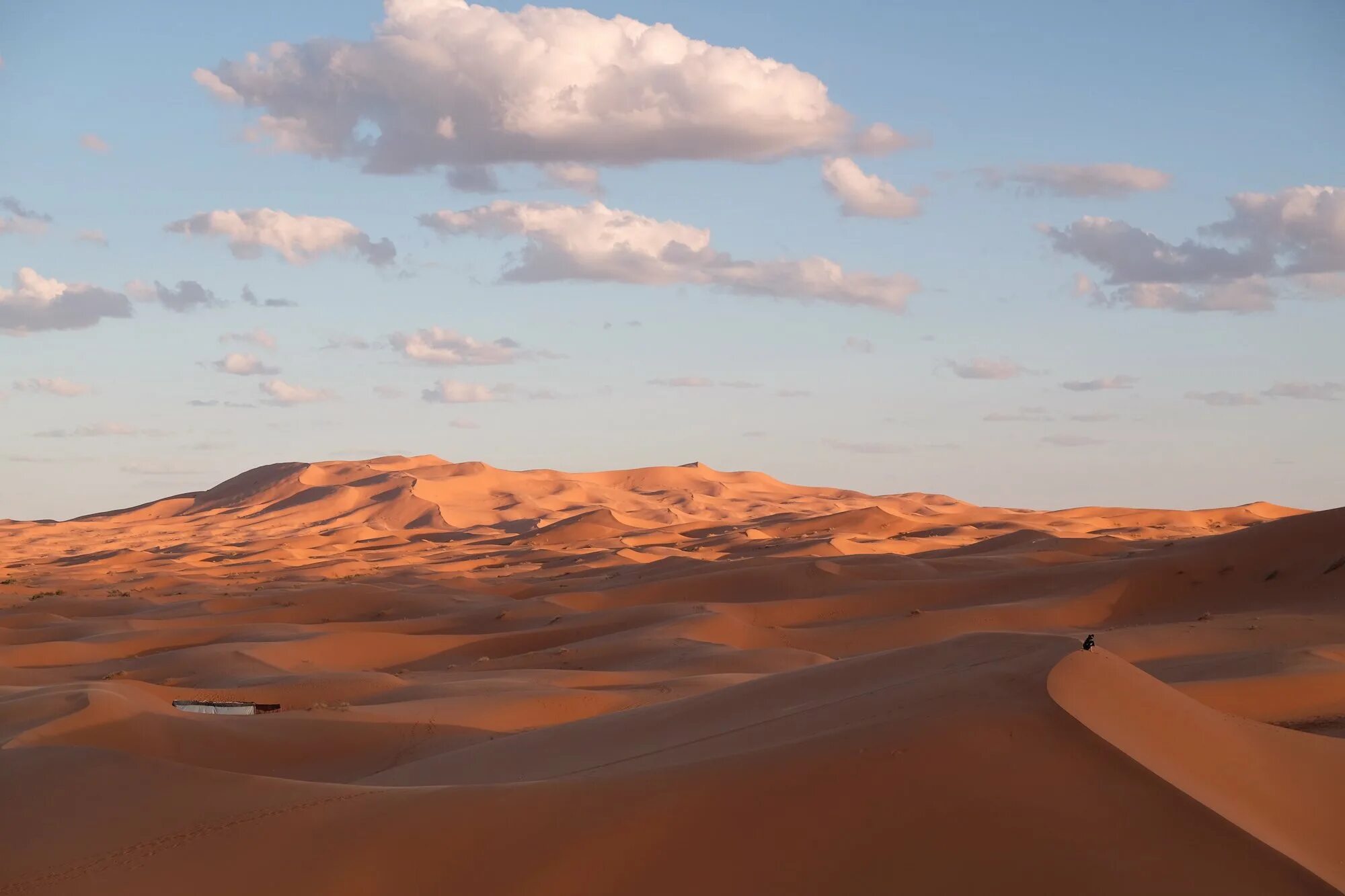 Средняя температура летом в пустыне. Пустыня Меданос-де-коро. Климат в пустыне. Пустыня летом. Пустыня днем.