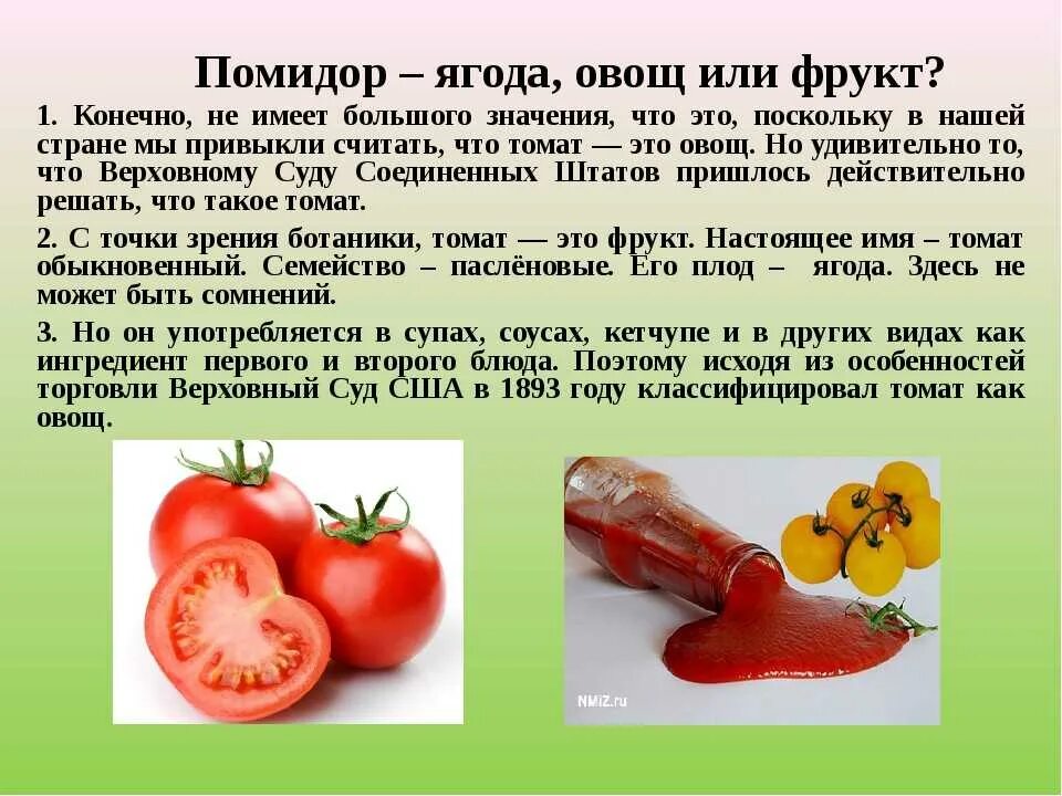 Помидор ягода или
