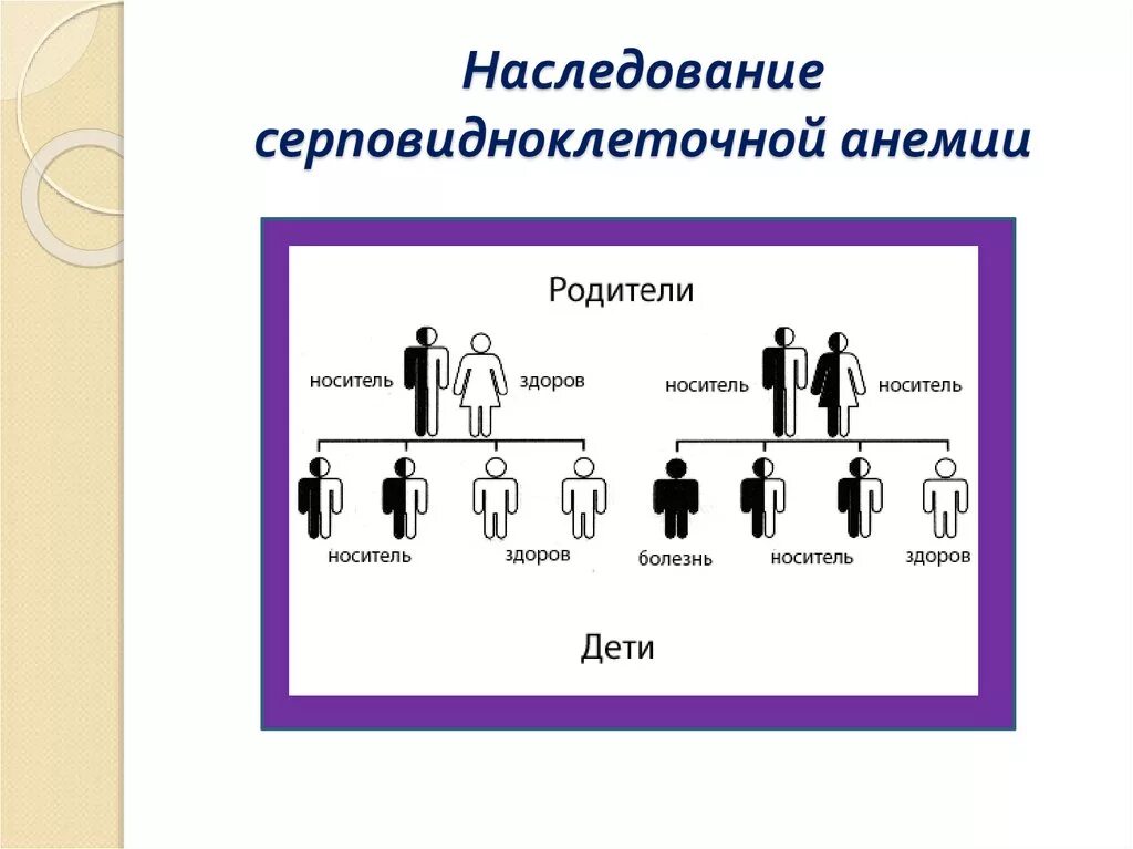 Наследство передается поколение. Серповидноклеточная Тип наследования. Схема наследования серповидноклеточной анемии. Серповидноклеточная анемия Тип наследования родословная. Характер наследования серповидноклеточной анемии.