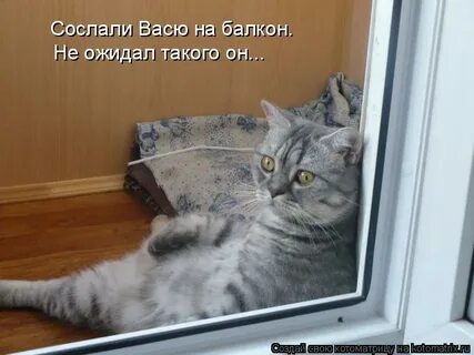 Не ожидала что он такой