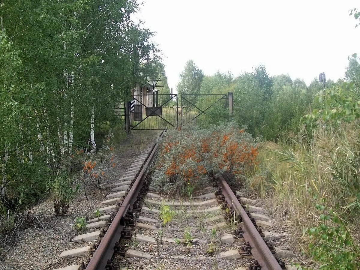 Станция протвино. Серпухов-ветка (серпухов-2) станция жд. Станция протвино. Протвино старые фото. Жд станция узуново тупик.