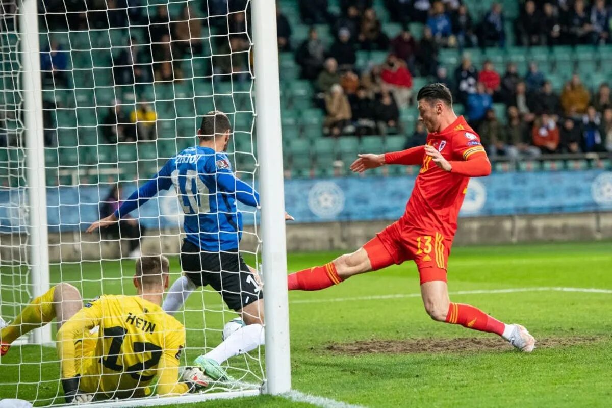 Goal keeping. Колде пуиесте Эстония. Чайгин Эстония. Henri Saarm Estonia.