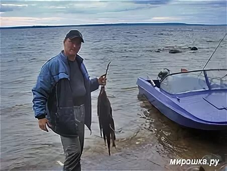 Погода в чупе лоухский норвежский сайт. Погода в чупе лоухский норвежский сайт. Поселок кестеньга. Погода в чупе лоухский норвежский сайт. Кестеньга карелия.