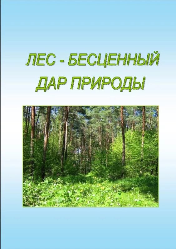 Познавательная программа лес наше богатство. Природа бесценный. Природа бесценный. Дары природы. Человек царь природы сочинение.