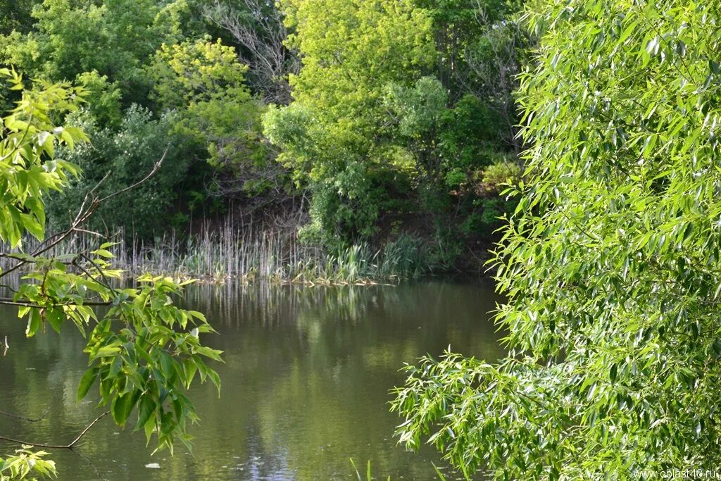 воловский район липецкой области. храм соловьево становлянский район. погода соловьево липецкая. заврашкино липецкая область становлянский район. храм соловьево становлянский район.