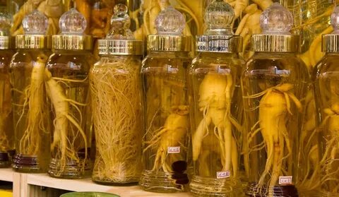 Как настоять корень женьшеня
