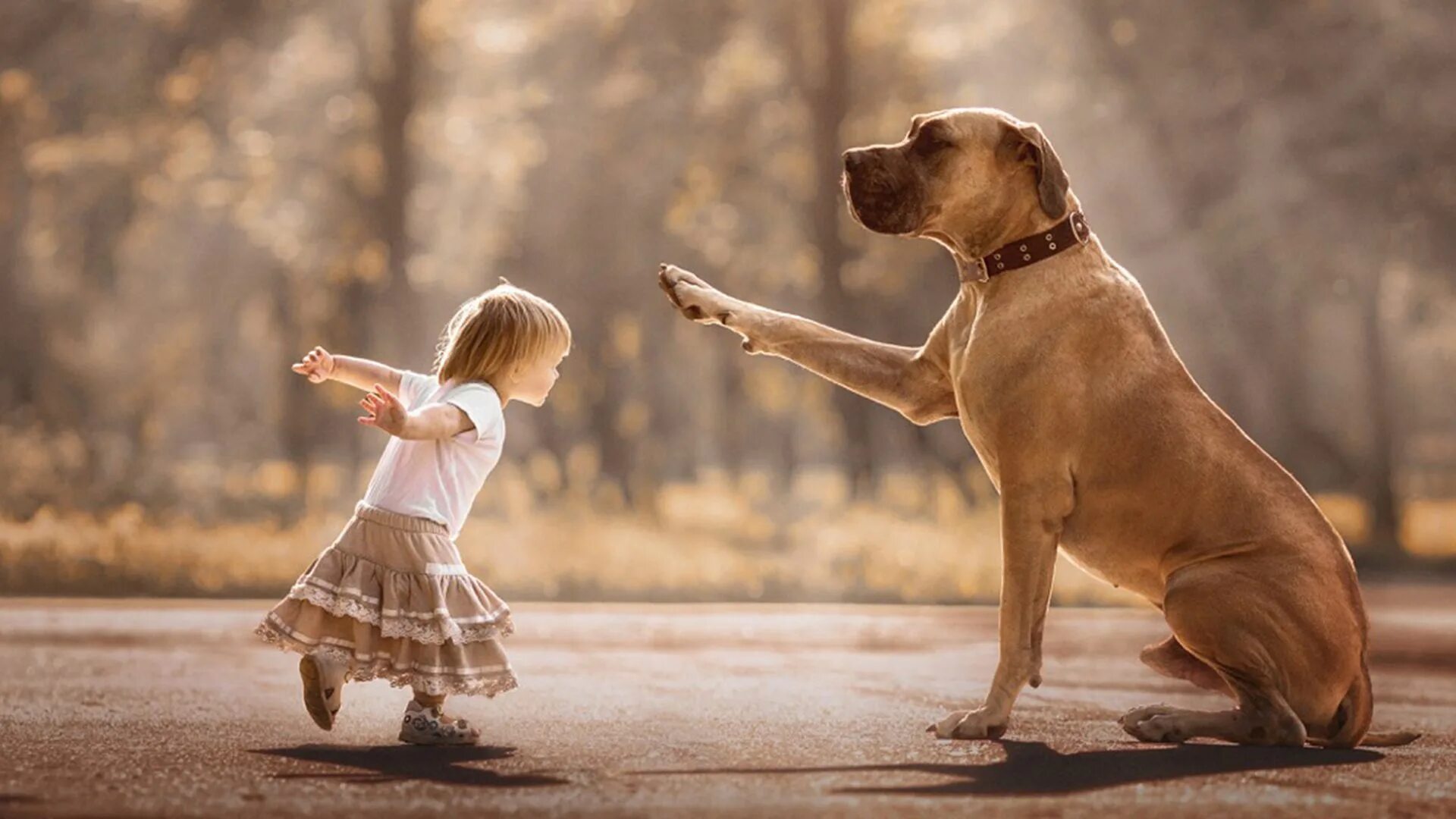 Dogs is little
