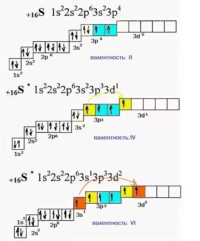 Валентность фтора в соединениях. Электронно графическая формула серы в возбужденном состоянии. Сера в возбужденном состоянии электронная формула. Возбужденное состояние атома Теллура схема. Сера строение атома возбужденное состояние.